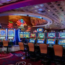 677 bet casino